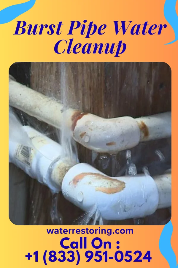 Burst Pipe Water Cleanup in Tatamy, PA