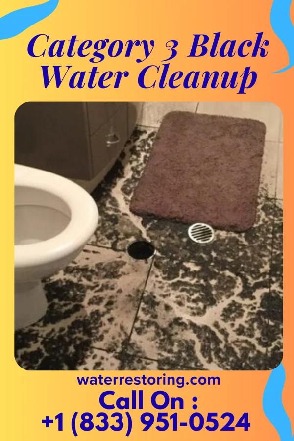 Category 3 Black Water Cleanup in Tatamy, PA