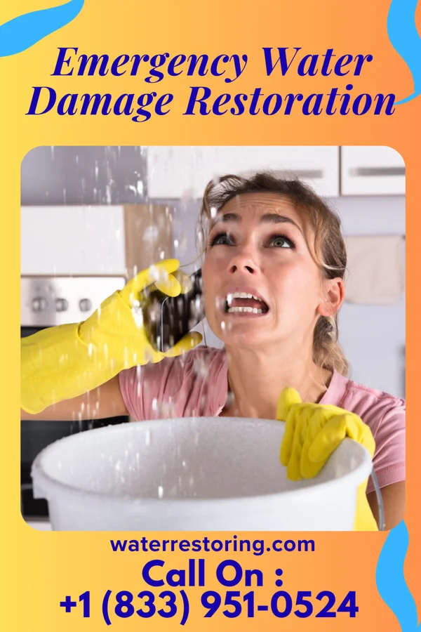 Emergency Water Damage Restoration in Tatamy, PA