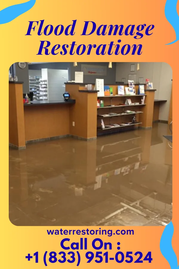 Flood Damage Restoration in Tatamy, PA