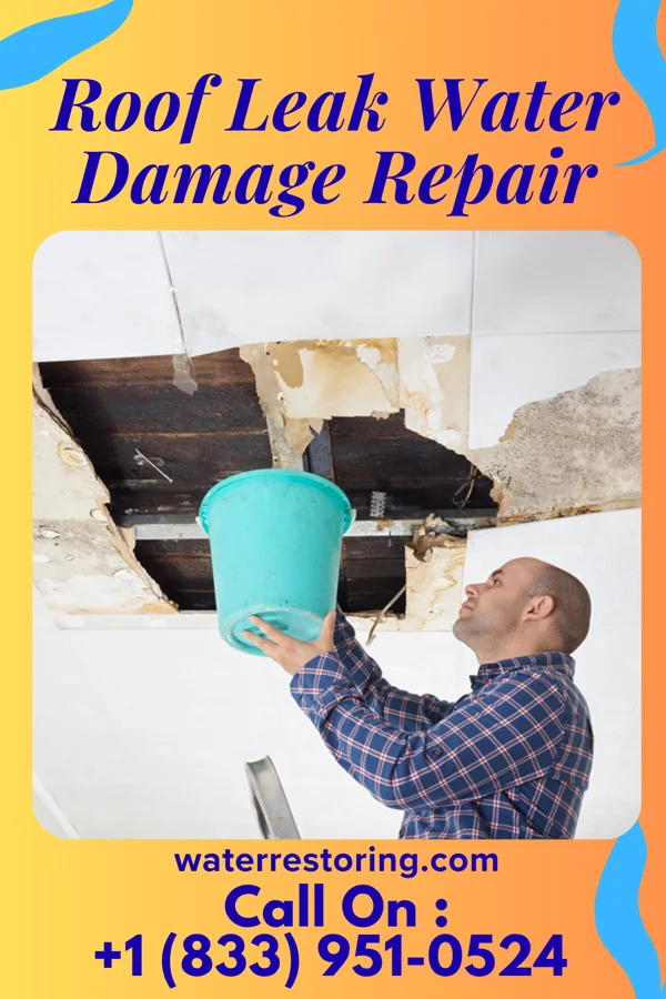 Roof Leak Water Damage Repair in Tatamy, PA