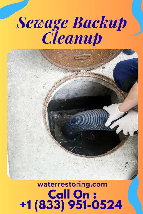 Sewage Backup Cleanup in Tatamy, PA