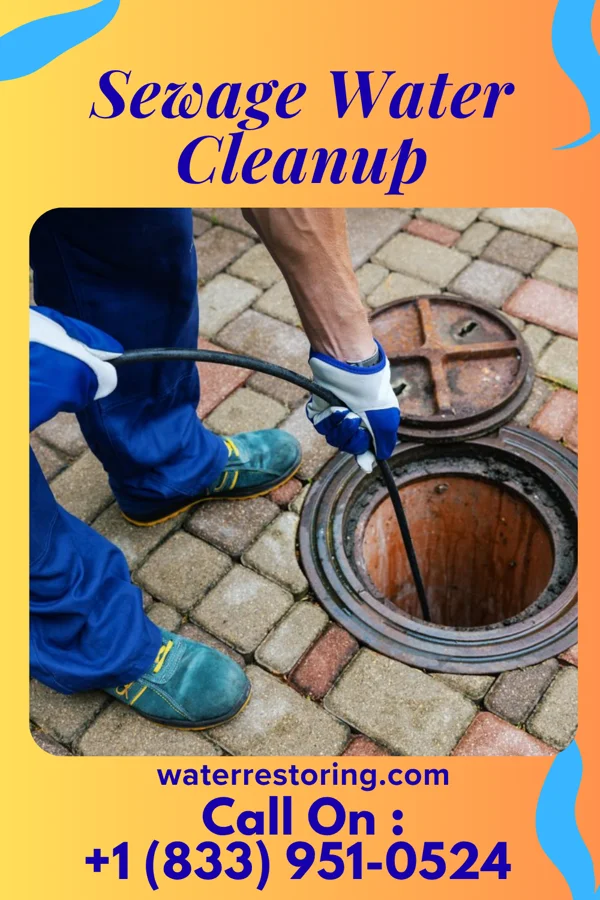 Sewage Water Cleanup in Tatamy, PA